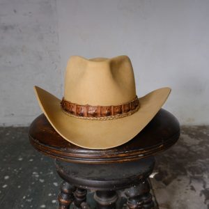 Clean Cut Caiman - Image 5