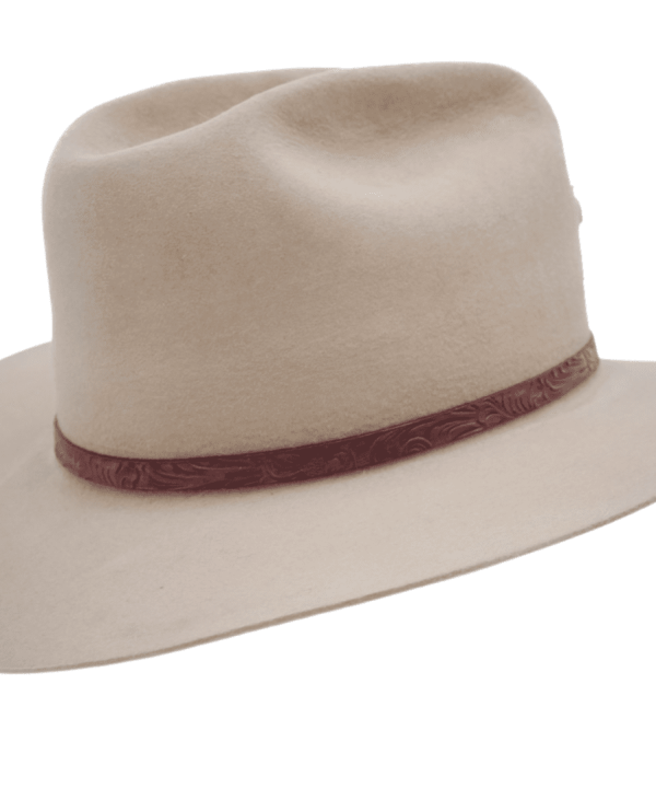 Raylan